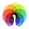 Peafowl IT Solution